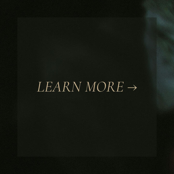 Learn More Learn More